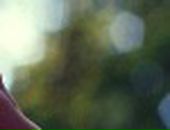 Ірішка Малишка фотография #6 (источник - https://vk.com/id51742932)