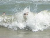 Нютік Мінутік фотография #2 (источник - https://vk.com/id56108921)