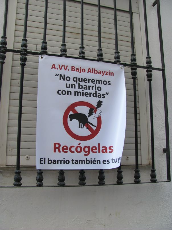 Иван Гришин фотография #35