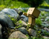 Фотография Lyudmila Mila