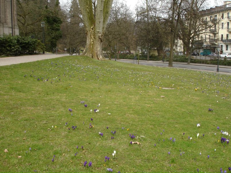 Ирина Лукс фотография #37