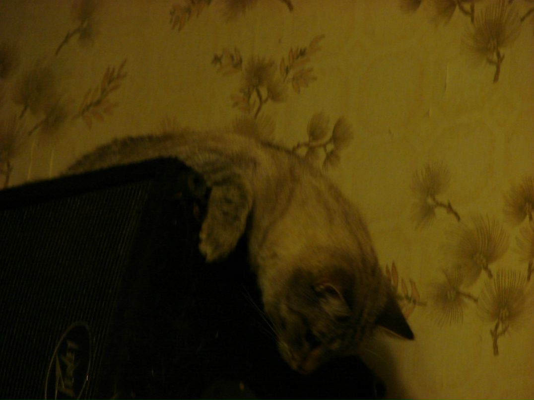 Игорь Огородников фотография #14