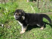 Фотография Вшивкова Олега