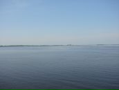 Дмитрий Кошелев фотография #50 (источник - https://vk.com/id2575330)