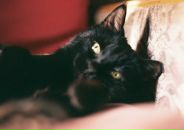 Фотография Perevozshikov Sergey