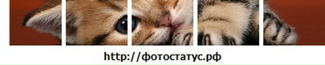 Сабіна Енергетик фотография #26 (источник - https://vk.com/id93044912)