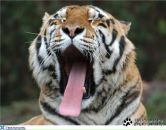 Фотография Линкера Олега