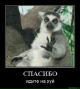 Фотография Дьяура Иона