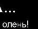 Андрій Мартинюк фотография #18 (источник - https://vk.com/id60404043)
