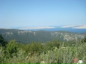 Іра Сай фотография #31 (источник - https://vk.com/id54865986)