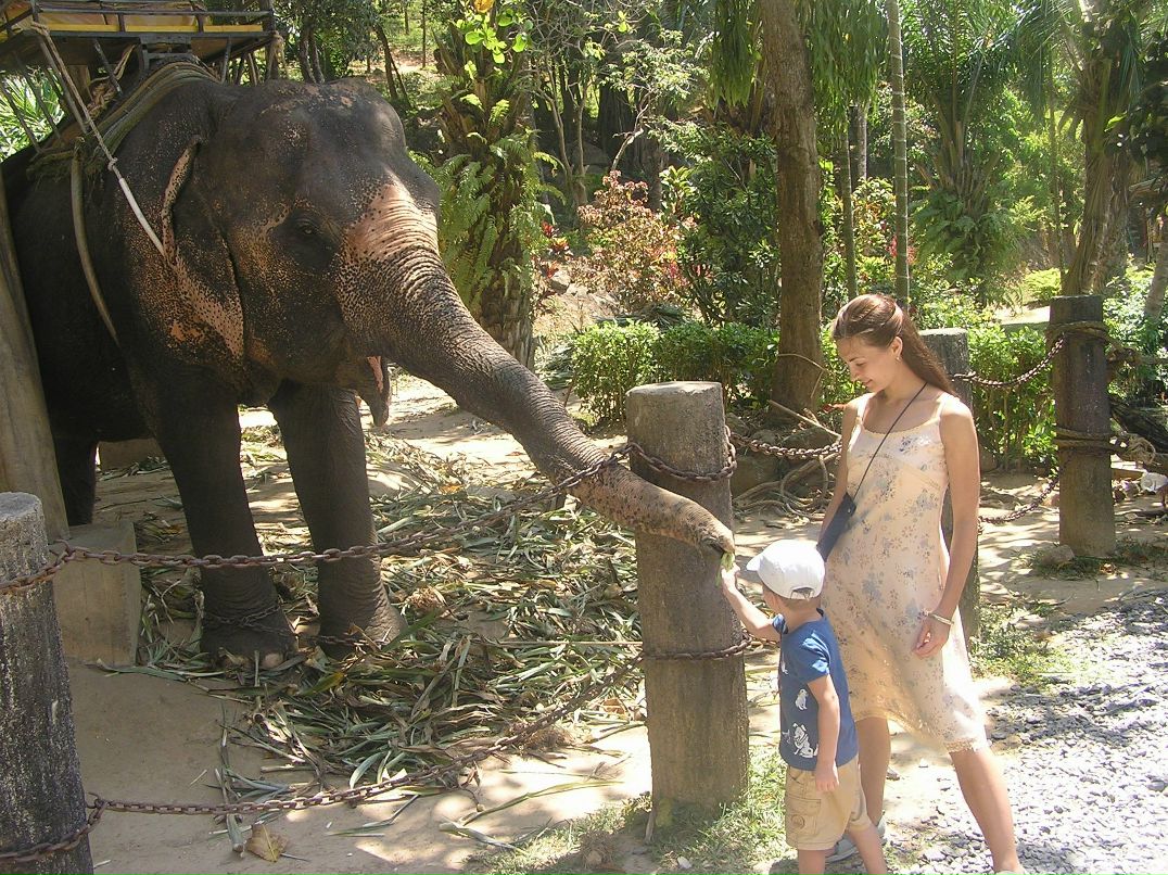 Иван Триполев фотография #38