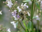 Вікторія Гладюк фотография #19 (источник - https://vk.com/id21938105)