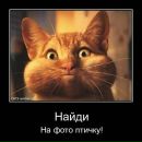 Фотография Филимончевой Кристины