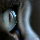 Фотография Мезенцевой Юли