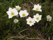 Юлія Шевчук фотография #20 (источник - https://vk.com/id58445111)