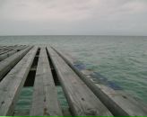 Фотография Силантьева Мити