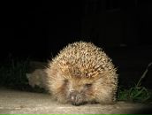 Фотография Пилунской Людмилы