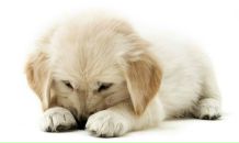 Оля Сеньків фотография #44 (источник - https://vk.com/id8914822)