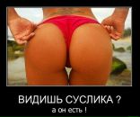 Фотография Сарычева Романа
