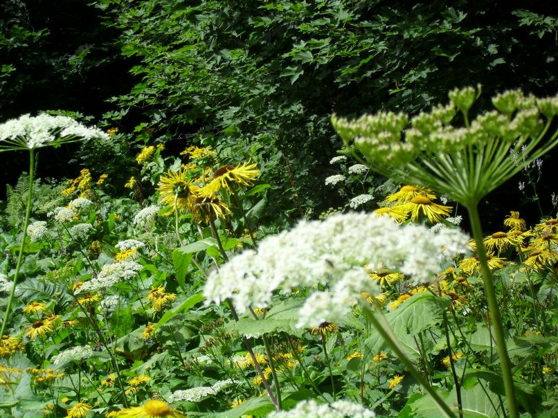 Дарья Торпачёва фотография #39