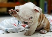 Дима Swip фотография #28 (источник - https://vk.com/id5352941)