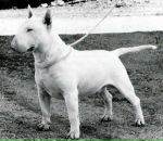 Фотография Александрова Кирилла