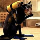 Фотография Смирнова Александра