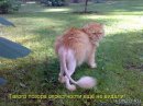 Андрій Львов фотография #41 (источник - https://vk.com/id28441248)