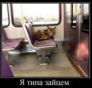 Віталік Мельник фотография #10 (источник - https://vk.com/id55369643)