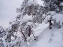 Валерій Матеящук фотография #27 (источник - https://vk.com/id28548420)