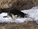 Фостер Светлые_истоки фотография #37 (источник - https://vk.com/id29935141)