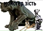Юра Білостоцький фотография #50 (источник - https://vk.com/id73849691)