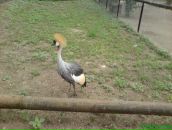 Андре Іньєста фотография #3 (источник - https://vk.com/id76105036)