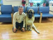 Alex Glozman фотография #40 (источник - https://vk.com/id11239447)