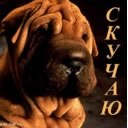 Андрій Скрипка фотография #2 (источник - https://vk.com/id169232965)