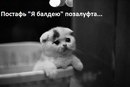 Ірина Листинськая фотография #3 (источник - https://vk.com/id159331278)