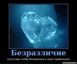 Дмитрий Шанин фотография #5 (источник - https://vk.com/id578933)