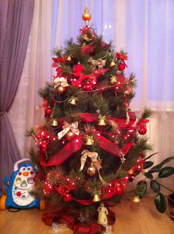 Антон Башловка фотография #40