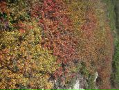 Jackie Chan фотография #42 (источник - https://vk.com/id6684483)