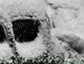 Дмитрий Сидоренко фотография #26 (источник - https://vk.com/id102488413)