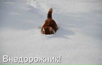 Фотография Фонина Андрея