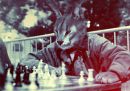 Фотография Рысь Лидия
