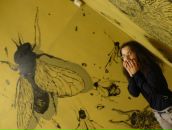 Фотография Новиковой Татьяны