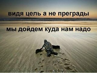 Рустам Рафиков фотография #41