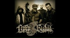 Фотография Мезенцева Ростислава