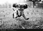 Фотография Лукьяновой Виктории