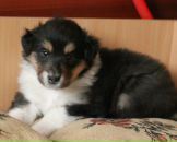 Фотография Кочуровой Анастасии