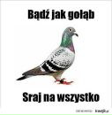 Маркіян Мишко фотография #25 (источник - https://vk.com/id22438727)