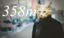 Фотография Михеева Дмитрия