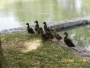 Коля Тафічук фотография #22 (источник - https://vk.com/id133982870)